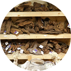 Aquarium / Terrarium Design and Installation Aquarium / Terrarium Design and Installation